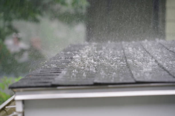 Best Skylight Installation and Repair  in Horseshoe Bend, AR
